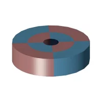 magnetization direction of hollow cylindrical magnet - radial magnetized
